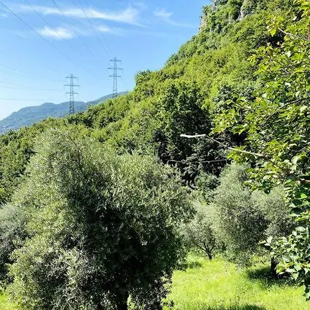 La Dimora Degli Olivi Сasa de vacaciones