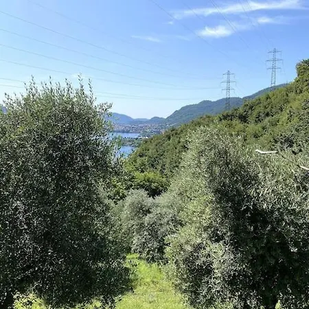 Holiday home La Dimora Degli Olivi *