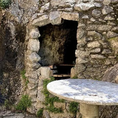 La Dimora Degli Olivi *